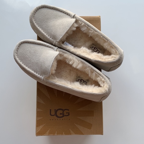 UGG W Ansley White Cloud - Picture 8 of 9